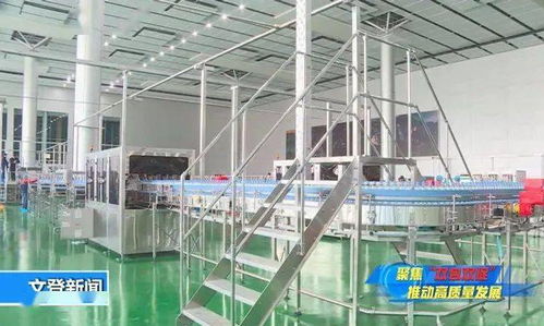 管家式服務讓健康生態飲品項目落地生根——邢臺正餐服務新典范