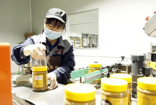 家門口的增收密碼 河北邢臺“微工廠”點燃正餐服務(wù)就業(yè)新引擎